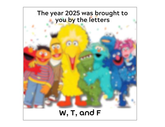 2025 WTF Parody Fridge Magnet – Funny New Year Gag Gift